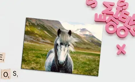 10% Off Photo Magnets