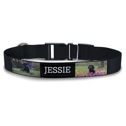Personalised Dog Collar with Bordered Collage Custom Colour design