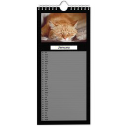 Kitchen Calendars with Custom Colour List View design