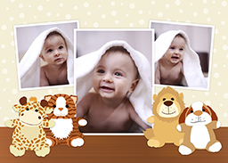 Flat Photo Cards (Pack of 20 Square Corners) with Plush Toys design